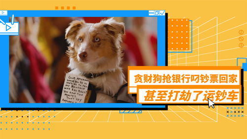 新门天天免费精准大全下载安装或2026全年免费资料大全:狗打老鼠无功劳完整释义、专家解析解释与落实-远离误导的漩涡 新门天天免费精准大全下载安装或2026全年免费资料大全:狗打老鼠无功劳完整释义、专家解析解释与落实-远离误导的漩涡