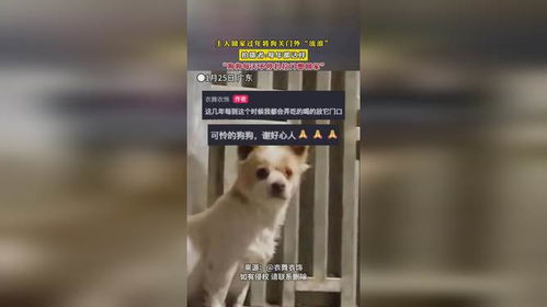 新门天天免费精准大全下载安装或2026全年免费资料大全:狗打老鼠无功劳完整释义、专家解析解释与落实-远离误导的漩涡 新门天天免费精准大全下载安装或2026全年免费资料大全:狗打老鼠无功劳完整释义、专家解析解释与落实-远离误导的漩涡