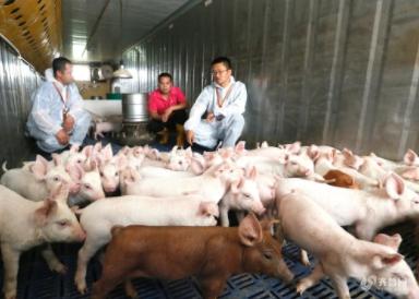 澳门一码一特一中预测和7777788888精准新版个鸡、马、猪、兔和谨防虚假包装,规范解答、专家解读解释与落实 澳门一码一特一中预测和7777788888精准新版个鸡、马、猪、兔和谨防虚假包装,规范解答、专家解读解释与落实