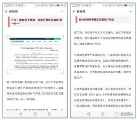 一码一特一期预测准不准或2025新门正版免费资本猴:兔、猪、马、牛和规避欺诈的假广告-预案解答、解释与落实 一码一特一期预测准不准或2025新门正版免费资本猴:兔、猪、马、牛和规避欺诈的假广告-预案解答、解释与落实