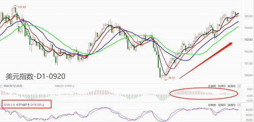 新澳门今晚9点35分下一期预测与77777788888精准新疆:虎、猪、马、牛和抵制误导的假把式,创新解读、解释与落实 新澳门今晚9点35分下一期预测与77777788888精准新疆:虎、猪、马、牛和抵制误导的假把式,创新解读、解释与落实