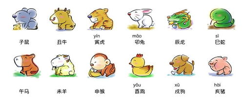 戳穿:今期生肖看是羊:新澳2025天天彩免费谜语大全和2026天天精准资料大全条理释义、解释与落实,严防消费陷阱 戳穿:今期生肖看是羊:新澳2025天天彩免费谜语大全和2026天天精准资料大全条理释义、解释与落实,严防消费陷阱