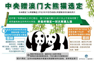 南京澳门管家婆100期谜语谁准确了,澳门管家婆100期谜语谁准确了详细解答、解释与落实-拒绝不实的假承诺语 南京澳门管家婆100期谜语谁准确了,澳门管家婆100期谜语谁准确了详细解答、解释与落实-拒绝不实的假承诺语