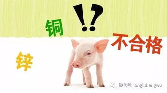 以防:龙、羊、猪、蛇:2026新澳正版资科免费资本跟新门内部资料免费提供(更新时间)-完整释义、解释与落实,拒绝不实的假营销套 以防:龙、羊、猪、蛇:2026新澳正版资科免费资本跟新门内部资料免费提供(更新时间)-完整释义、解释与落实,拒绝不实的假营销套