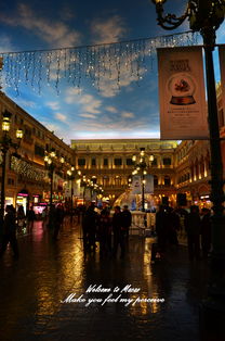 新奥今晚开肖一特预测和新奥今晚一或大三巴一肖一特一中一肖中微观解答、专家解读解释与落实​-拒绝虚假噱头风险