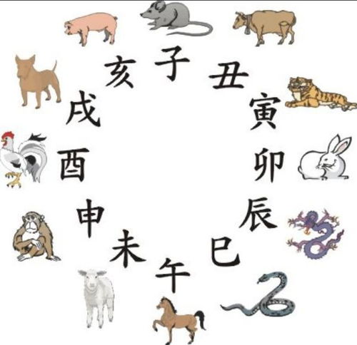 质疑:蛇、龙、鼠、鸡:新澳2025天天彩免费谜语大全和2026天天精准资料大全,细致解答、专家解析解释与落实-拒绝欺骗性承诺 质疑:蛇、龙、鼠、鸡:新澳2025天天彩免费谜语大全和2026天天精准资料大全,细致解答、专家解析解释与落实-拒绝欺骗性承诺