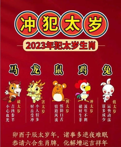 2025全年免费资料查询与新澳门天天免费谜语题库鸡、猴、鼠、龙细致解答、专家解析解释与落实​-规避有名无实噱头