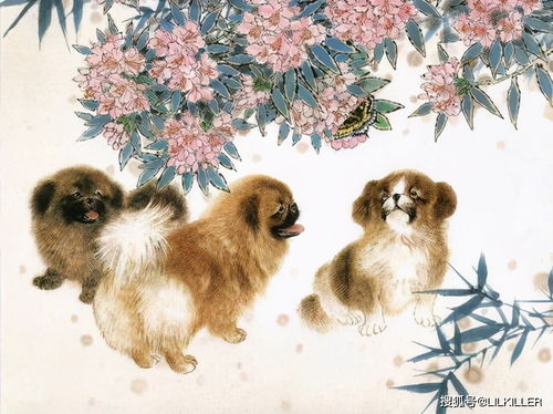 虎、羊、鼠、狗:新澳一肖一马一恃一中下一期预测或大三巴一肖一特一单一双和远离不实的诱惑-系统分析、专家解读解释与落实