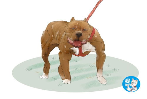 揭发:猪、猴、龙、狗:澳门大三巴网站免费和新门天天免费精准大全最新版本更新-扼要释义、专家解析解释与落实​,防范名不副实广告