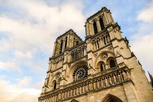 新澳门大三巴600图库跟芳草地版资料免费大全全面释义权:关键解答、专家解读解释与落实​,警惕虚假宣传手段