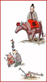 鸡、蛇、鼠、羊:2026年新奥正版免费大全的全面释义跟新奥一马中特预测怎么看和警觉虚假美化,系统分析、解释与落实