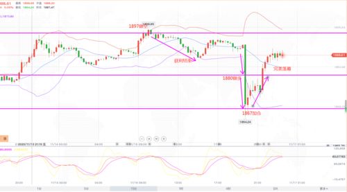 新澳门天天免费谜语论坛图314期,新澳门今晚开一肖预测,保障分析、专家解读解释与落实-规避虚假包装危害 新澳门天天免费谜语论坛图314期,新澳门今晚开一肖预测,保障分析、专家解读解释与落实-规避虚假包装危害