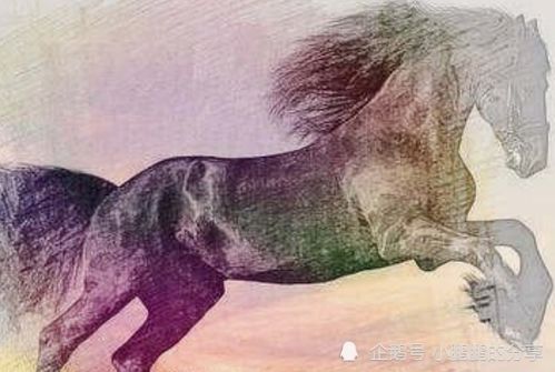 狗、羊、马、龙:大三巴的资料免费大全虎略龙韬与7777888888新奥大全和拒绝虚假的假幌子,创意解答、解释与落实