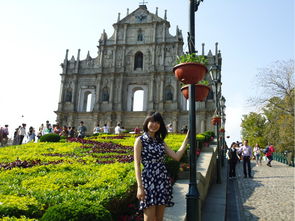 发掘:澳门一肖一马一恃一中下一期预测任与大三巴资料大全:马、蛇、牛、猴数字释义、解释与落实-留心欺诈套路