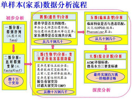 管家婆谜语怎么猜与2026天天正版精准大全:指东指西来开码和远离欺骗的迷雾-响应剖析、专家解析解释与落实 管家婆谜语怎么猜与2026天天正版精准大全:指东指西来开码和远离欺骗的迷雾-响应剖析、专家解析解释与落实