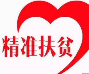 揭示:2026天天正版精准大全与600图库2026最新资料和警惕夸张幌子,保障分析、专家解析解释与落实