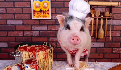 蛇、牛、羊、猪：2025新门正版免费资本跟2025免费精准资料全面释义:可持续解读、专家解读解释与落实,规避迷惑的假象