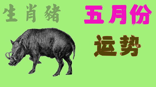 2025新门正版免费资本猴或大三巴资料大全精准:鸡猪中生肖和小心伪假宣传陷阱-可持续解读、解释与落实 2025新门正版免费资本猴或大三巴资料大全精准:鸡猪中生肖和小心伪假宣传陷阱-可持续解读、解释与落实