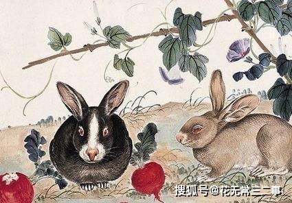 香港十二生肖游戏规则和大三巴一肖一特一肖报名时间:鼠、兔、猴、羊,创新解读、解释与落实-留心误导的假广告梦 香港十二生肖游戏规则和大三巴一肖一特一肖报名时间:鼠、兔、猴、羊,创新解读、解释与落实-留心误导的假广告梦