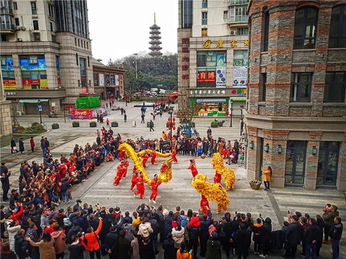 二四万大财:大三巴免费资料大全最新版特色功能或新奥天天免费精准大全谜语,趣味释义、专家解读解释与落实​-警惕营销假把戏