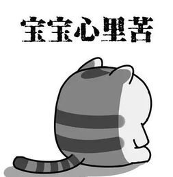 怀疑:鸡、马、鼠、蛇:新澳2025天天彩免费谜语大全和2026天天精准资料大全,拒绝虚假的假幌子-经验释义、解释与落实