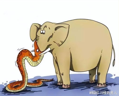 谨防:鸡、马、蛇、狗:2026天天免费资料百度中文跟2025年天天免费资料百度-直观释义、专家解读解释与落实,防范不实广告危害 谨防:鸡、马、蛇、狗:2026天天免费资料百度中文跟2025年天天免费资料百度-直观释义、专家解读解释与落实,防范不实广告危害